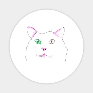 Heterochromia Cat Sketch Magnet